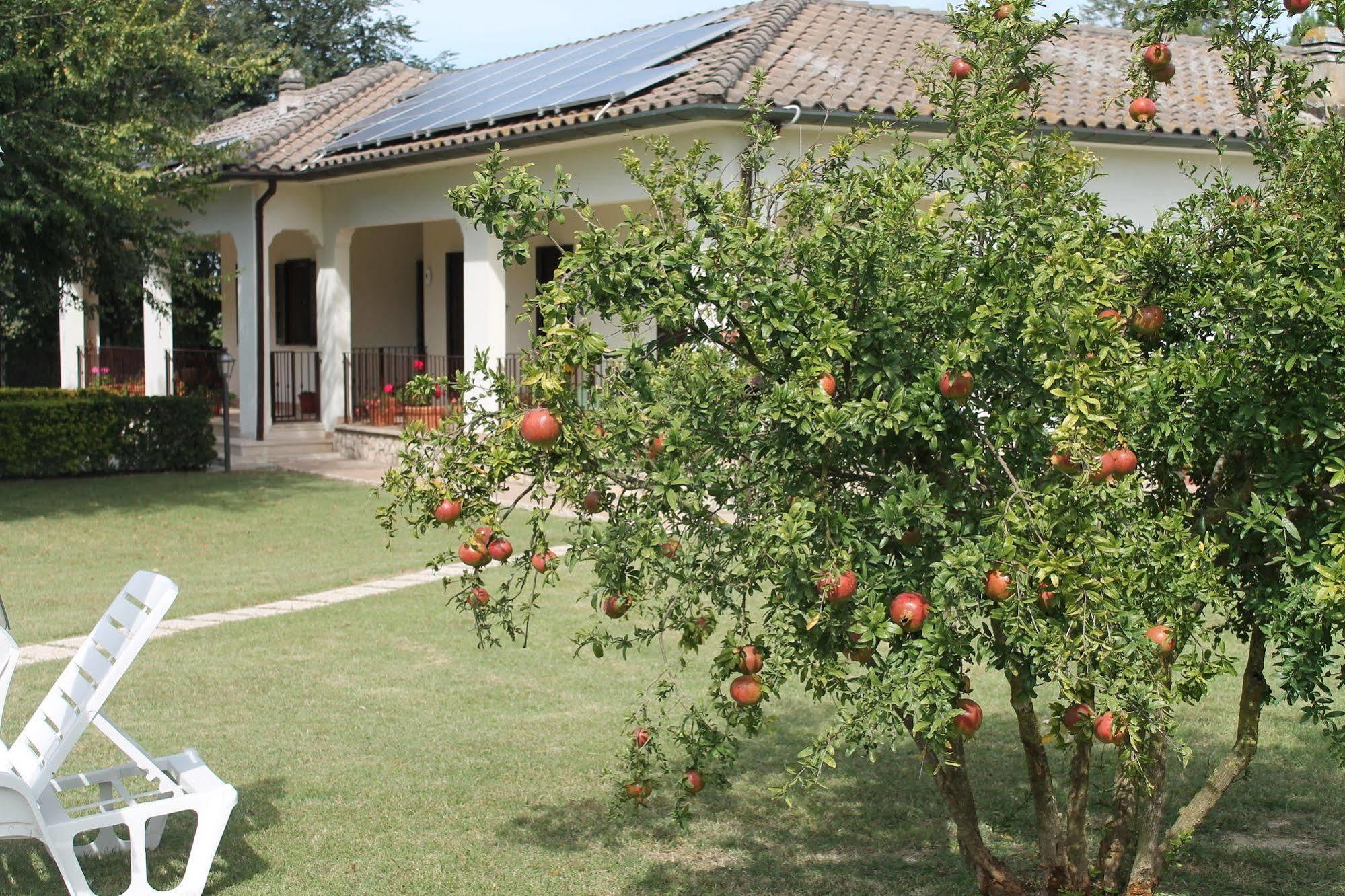 Relais La Mimosa 호텔 폰티니아 외부 사진
